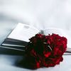 nawras.hriesh