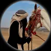 sultana5133