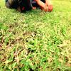 justmughal5