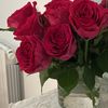 eman.mb8