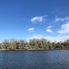 bluffpark