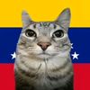 luis_23309