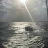 taylors_0629