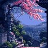 tags0561