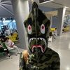stravvc4t