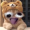 cay_76