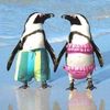 amethystpenguin