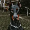 sancho19940