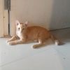 leo_girl38