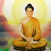 66778899viet
