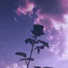 apollon4891
