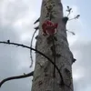 thanhnga130905