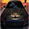 mourad067805
