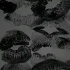 _petrov1c15