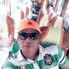 din_tiger08