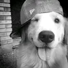 sasha._3478