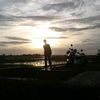 mulyana1137