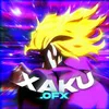 xaku.ofx