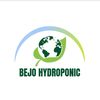 bejo_hydroponic
