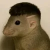francesco_o2
