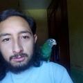joblevisanchezgarcia