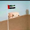 .kamilshah