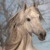 marwa.besher2