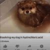 housemdfan3