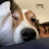 betsymunoz07_
