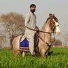 imraniqbalgujjar1