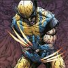 wolverineylogan