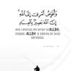asom533