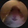 username211321