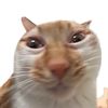 scrumpadooshes