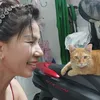 nguyenthilan409