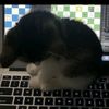 username123276_