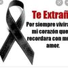 lindauraflores123