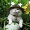 cat_lover12b