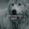anonimaqualunque3