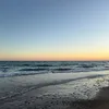 lovesthevibes