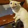 huynnln