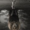 daniele_it_