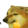votongdz