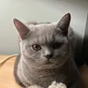 momster_85