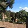 antoniosilvarib94