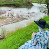 enas_778