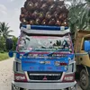torusdori_transport