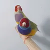 mukhtaramiri86