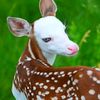 nour_6102003