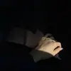h.ng_05